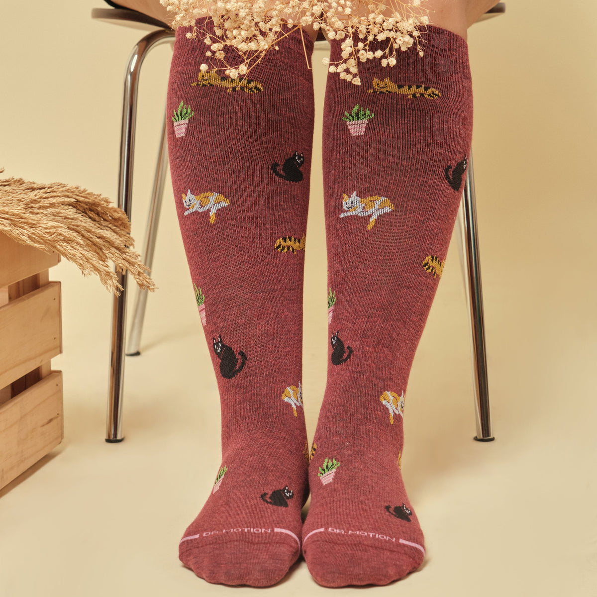 Dr. Motion Great Value | Cozy Cats - Knee-High Compression Socks For Women